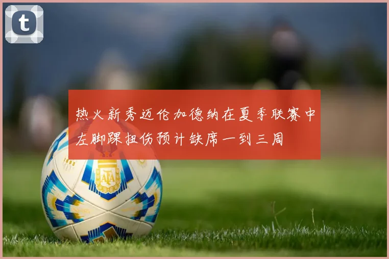 热火新秀迈伦加德纳在夏季联赛中左脚踝扭伤预计缺席一到三周