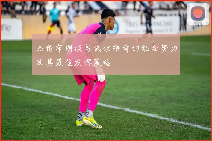 杰伦布朗谈与武切维奇的配合努力及其最佳发挥策略