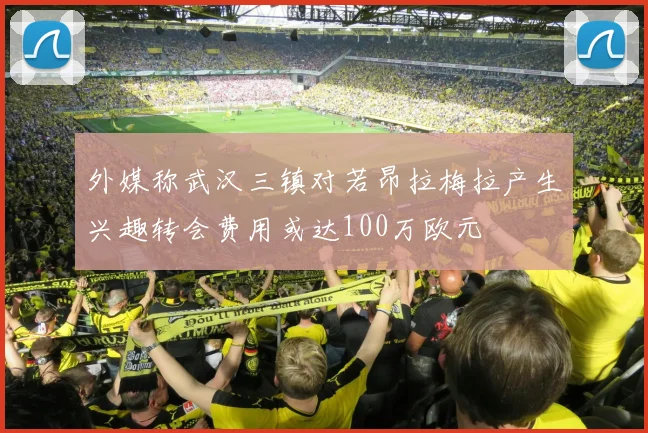 外媒称武汉三镇对若昂拉梅拉产生兴趣转会费用或达100万欧元
